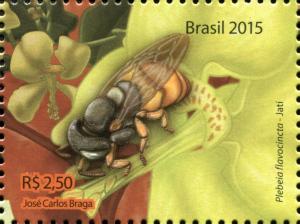 Colnect-2978-972-Stigless-Bee-Plebeia-flavocincta.jpg