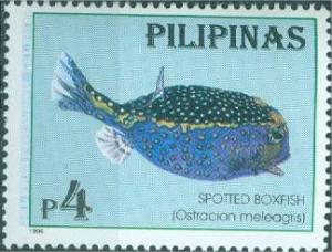 Colnect-3002-666-White-spotted-Boxfish-Ostracion-meleagris.jpg