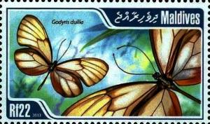 Colnect-3612-038-Glasswing-Butterfly-Godyris-duilia.jpg