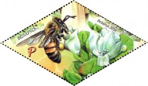 Colnect-3621-760-European-Honey-Bee-Apis-mellifera-and-flower.jpg