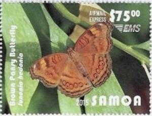 Colnect-3628-354-Brown-Pansy-Butterfly-Junonia-hedonia.jpg