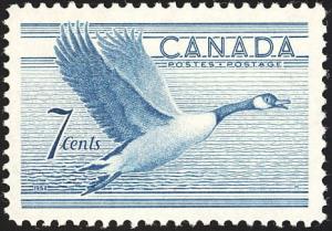 Colnect-3642-345-Canada-Goose-Branta-canadensis-in-flight.jpg