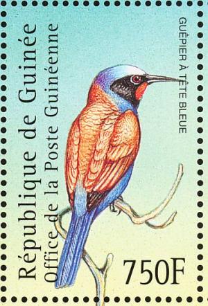 Colnect-3804-328-Blue-headed-Bee-eater-Merops-muelleri.jpg