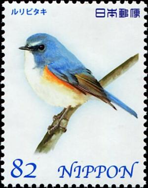 Colnect-5524-191-Red-flanked-Bluetail-Tarsiger-Cyanurus.jpg