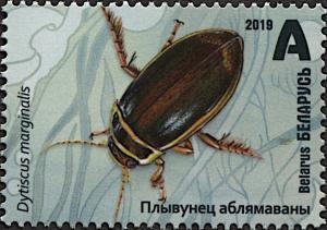 Colnect-5996-001-Great-Diving-Beetle-Dytiscus-marginalis.jpg
