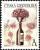 Colnect-3781-919-Bouquet--quot-A-quot----The-bottle-of-wine-with-a-bouquet-in-a-funnel.jpg
