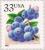 Colnect-201-229-Fruit-Berries-Blueberries.jpg