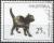Colnect-723-150-Black-kitten.jpg