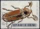 Colnect-1010-681-Giant-Acacia-Click-Beetle-Tetralobus-flabellicornis.jpg