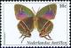 Colnect-1018-572-Hairstreak-Butterfly-Evenus-teresina.jpg