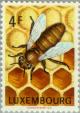 Colnect-134-271-Honey-Bee-Apis-mellifica.jpg