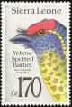 Colnect-1617-955-Yellow-spotted-Barbet-Buccanodon-duchaillui.jpg