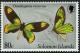 Colnect-1929-244-Queen-Victoria--s-Birdwing-Ornithoptera-victoriae.jpg