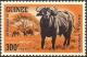 Colnect-2035-549-African-Forest-Buffalo-Syncerus-caffer-nanus.jpg