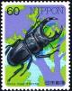 Colnect-2233-231-Stag-Beetle-Dorcus-hopei.jpg