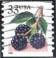 Colnect-2889-766-Fruit-Berries-Blackberries.jpg