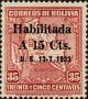 Colnect-3942-849-Map-of-Bolivia---surcharged.jpg