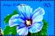 Colnect-4103-316-Blue-hibiscus.jpg