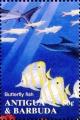 Colnect-4112-755-Butterfly-fish.jpg