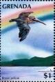 Colnect-4391-359-Brown-pelican.jpg
