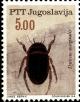 Colnect-5520-377-Great-Diving-Beetle-Dytiscus-marginalis.jpg