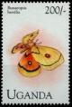 Colnect-5952-912-Moth-Bunaeopsis-hersilia.jpg