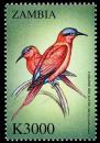Colnect-3507-658-Southern-Carmine-Bee-eater%C2%A0-%C2%A0Merops-nubicoides.jpg