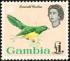 Colnect-1462-552-African-Emerald-Cuckoo%C2%A0Chrysococcyx-cupreus-.jpg
