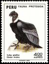 Colnect-1617-409-Andean-Condor-Vultur-gryphus.jpg