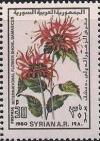 Colnect-2149-641-Chrysanthemums.jpg