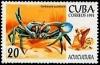 Colnect-2523-613-Blue-Land-Crab-Cardisoma-guanhumi.jpg