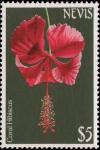 Colnect-3052-249-Coral-Hibiscus.jpg