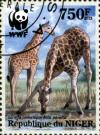 Colnect-3976-834-Giraffa-camelopardalis-peralta.jpg