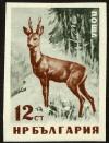 Colnect-4067-346-Roebuck-Capreolus-capreolus---totally-Imperforated.jpg