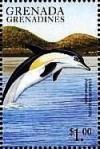 Colnect-4213-525-Common-dolphin.jpg