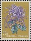 Colnect-485-653-Chrysanthemum.jpg