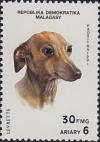 Colnect-503-159-Greyhound-Canis-lupus-familiaris.jpg