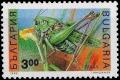 Colnect-1713-034-Great-Green-Bush-Cricket-Tettigonia-viridissima.jpg