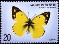 Colnect-2239-038-Eastern-Pale-clouded-Yellow-Colias-erate.jpg
