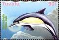 Colnect-4008-348-Common-dolphin.jpg