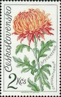 Colnect-414-058-Chrysanthemum.jpg