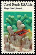 Colnect-4189-257-Finger-Coral-Porites-compressa-Sabertooth-Blenny-Plagiot.jpg