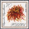 Colnect-4627-381-Chrysanthemum.jpg