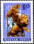 Colnect-5542-884-Circus---Lions.jpg