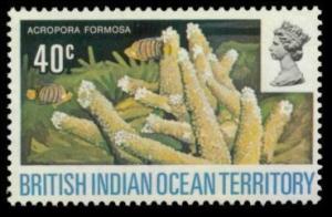 Colnect-1379-442-Staghorn-Coral-Acropora-formosa.jpg