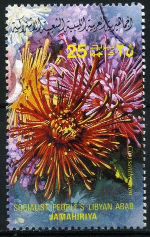 Colnect-1921-581-Chrysanthemum.jpg