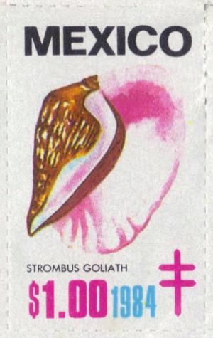Colnect-2207-006-Goliath-conch-Strombus-goliath.jpg