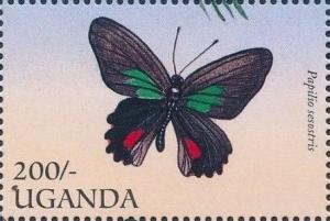 Colnect-2278-241-Emerald-patched-Cattleheart-Papilio-sesostris.jpg