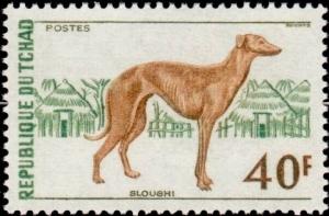 Colnect-2453-216-Sloughi-Canis-lupus-familiaris.jpg