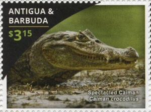 Colnect-3522-163-Spectacled-Caiman-Caiman-crocodilus.jpg